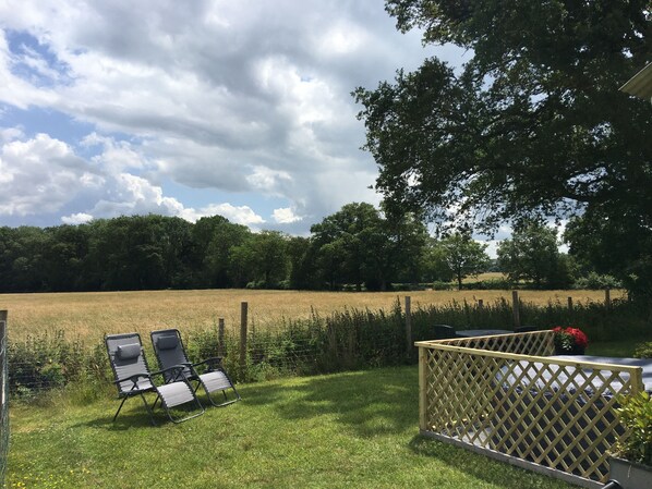 Ferienhütte, 1 King-Bett | Unterkunftsgelände