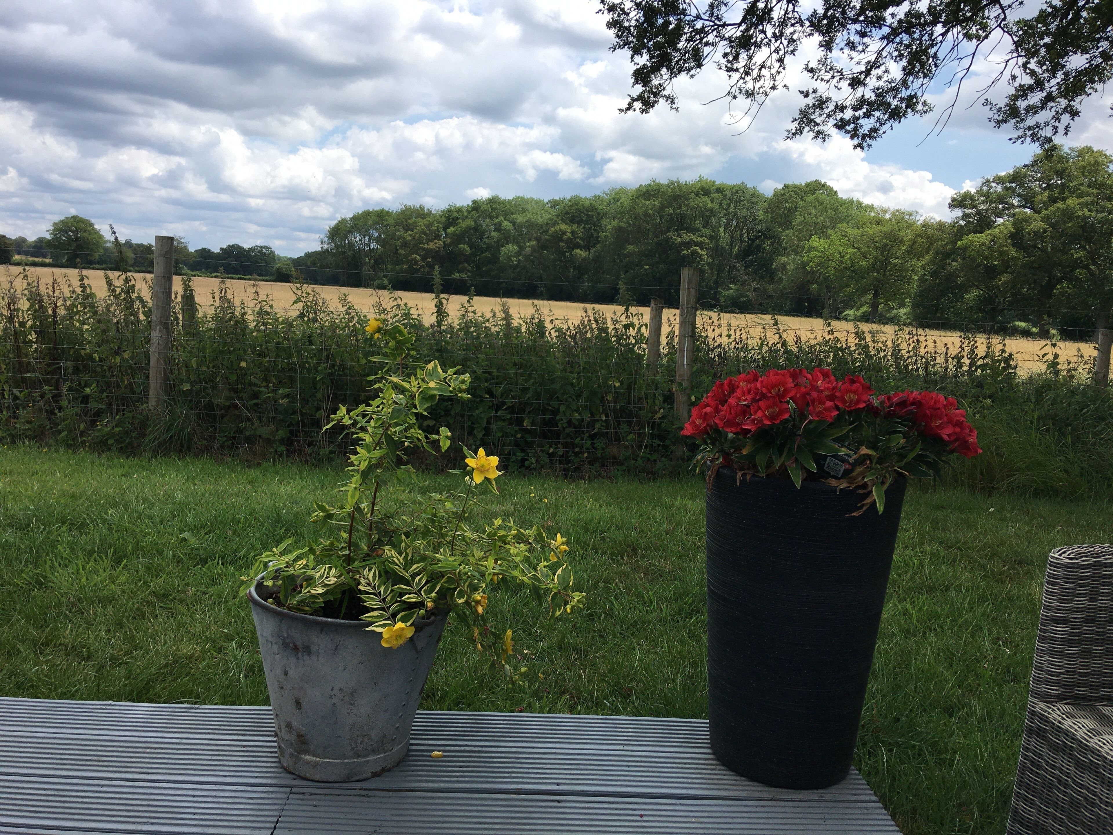 Cabin, 1 King Bed | Property grounds