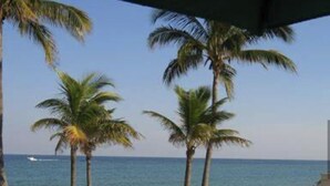 Ein Strand mit Palmen und blauem Himmel.