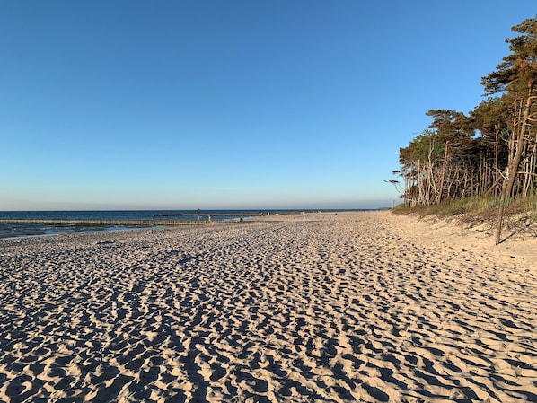 Una spiaggia nelle vicinanze