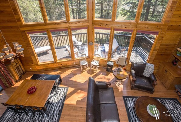 Télévision, cheminée, livres, chaîne hi-fi