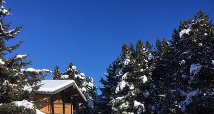 Half wooden CHALET in a clearing in Pyrenees 2000