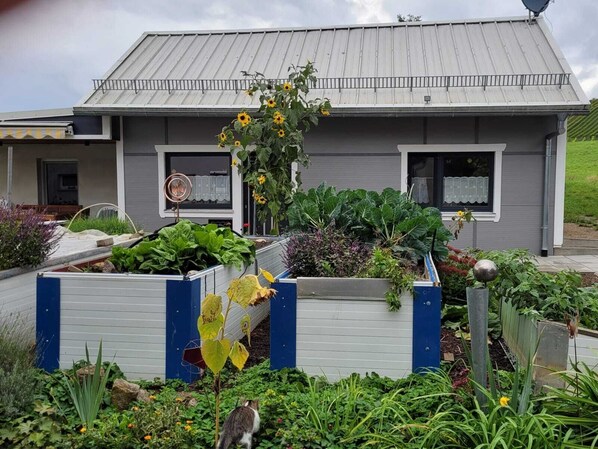 Áreas de la propiedad