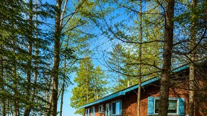 A wooden cabin with a porch, surrounded by trees and a clear view of the ocean. - Waterfront on Lake Huron- NEW Kitchen & Bathroom (Cheboygan)