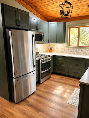 A modern kitchen with a stainless steel refrigerator, a gas stove, and green cabinets. - Waterfront on Lake Huron- NEW Kitchen & Bathroom (Cheboygan)