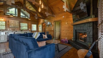 Smart TV, fireplace, books