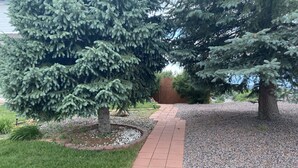 Un sendero atraviesa un área ajardinada con un gran árbol de coníferas y otro más pequeño, rodeado de grava y césped.
