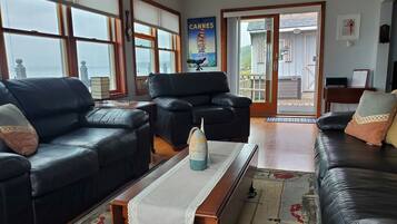 Smart TV, chimenea, reproductor de DVD y libros