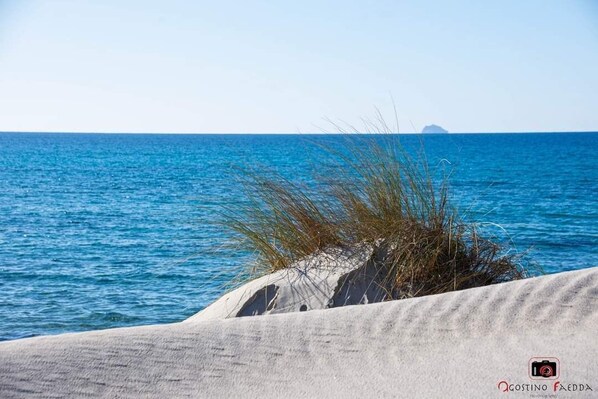Tæt på stranden