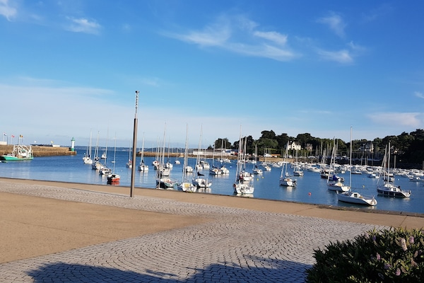 Port esportiu