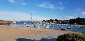 A marina with numerous boats docked, a sandy walkway, and a clear blue sky.