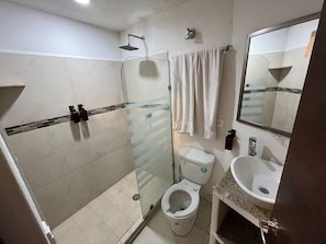 Shower, hair dryer, towels, soap - Guelaguetza A (Crucecita)