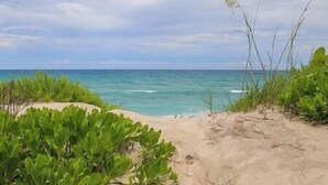 A sandy beach with green vegetation and a view of the ocean.