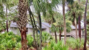 Un jardin luxuriant, avec des palmiers et diverses plantes tropicales.