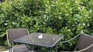 Outdoor dining - Great location! Close to everything! Room with private entrance and own patio….. (Fort Myers)