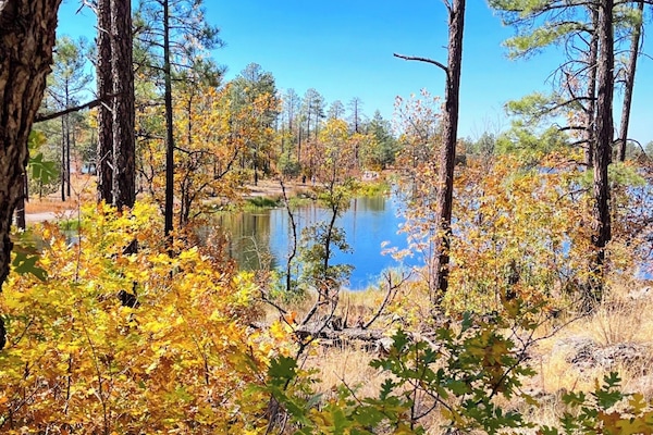 Woodland Lake