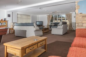 TV, fireplace, video game console, DVD player