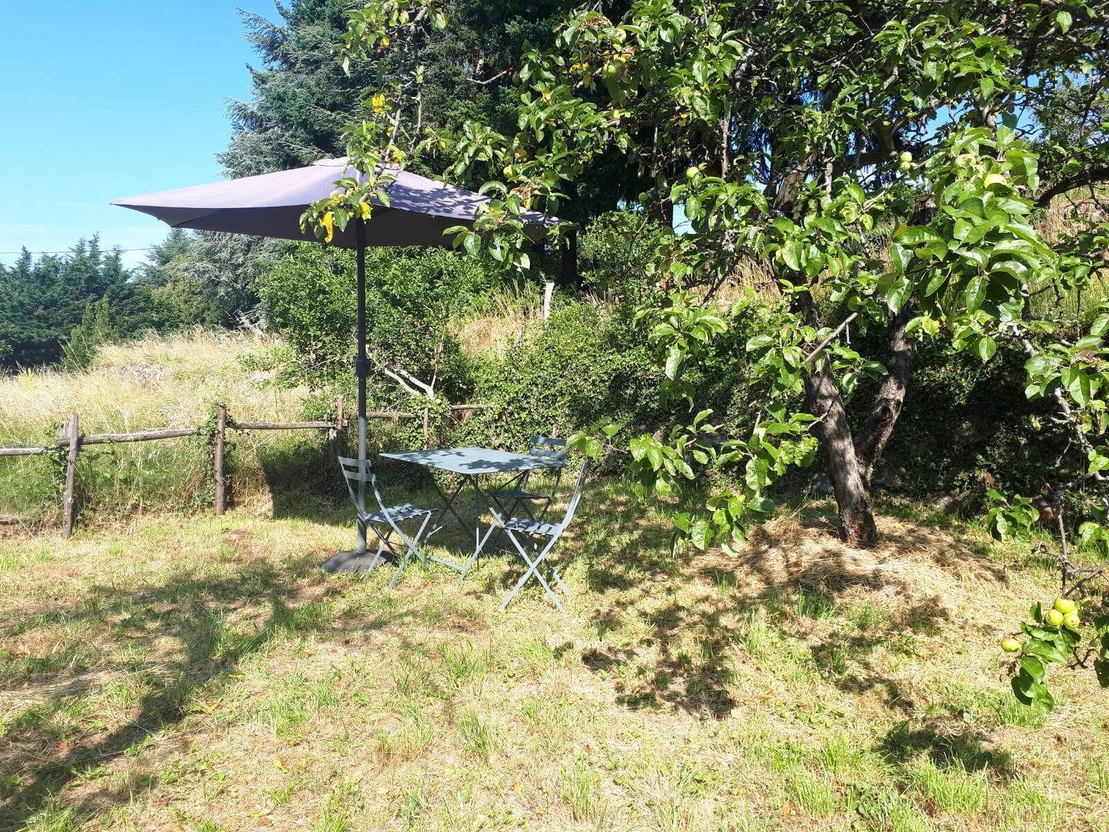 An outdoor seating area with a table and chairs under a canopy, surrounded by trees and a grassy area.