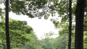 A campfire in a stone fire pit surrounded by a forest and a lake. - Relax Refresh & Reconnect  Lakefront on Autumn Lake, 3min to Salmon River (Orwell)