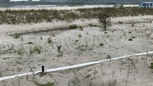 A beach with a sandy path, sparse vegetation, and a view of the ocean. - Catch N Relax Like A Prince  (Mexico Beach)