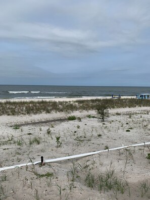 Walk along the beach to a serene ocean view.