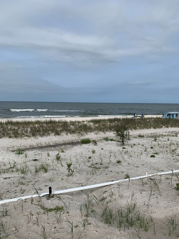 Playa