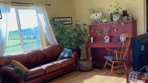 Een woonkamer met een bruine leren bank, een houten vloer, een rode kast met planten, een schommelstoel en een televisie.