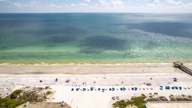A beach with a pier extending into the ocean, rows of beach chairs, and umbrellas. - Condominium on beach (Indian Shores)