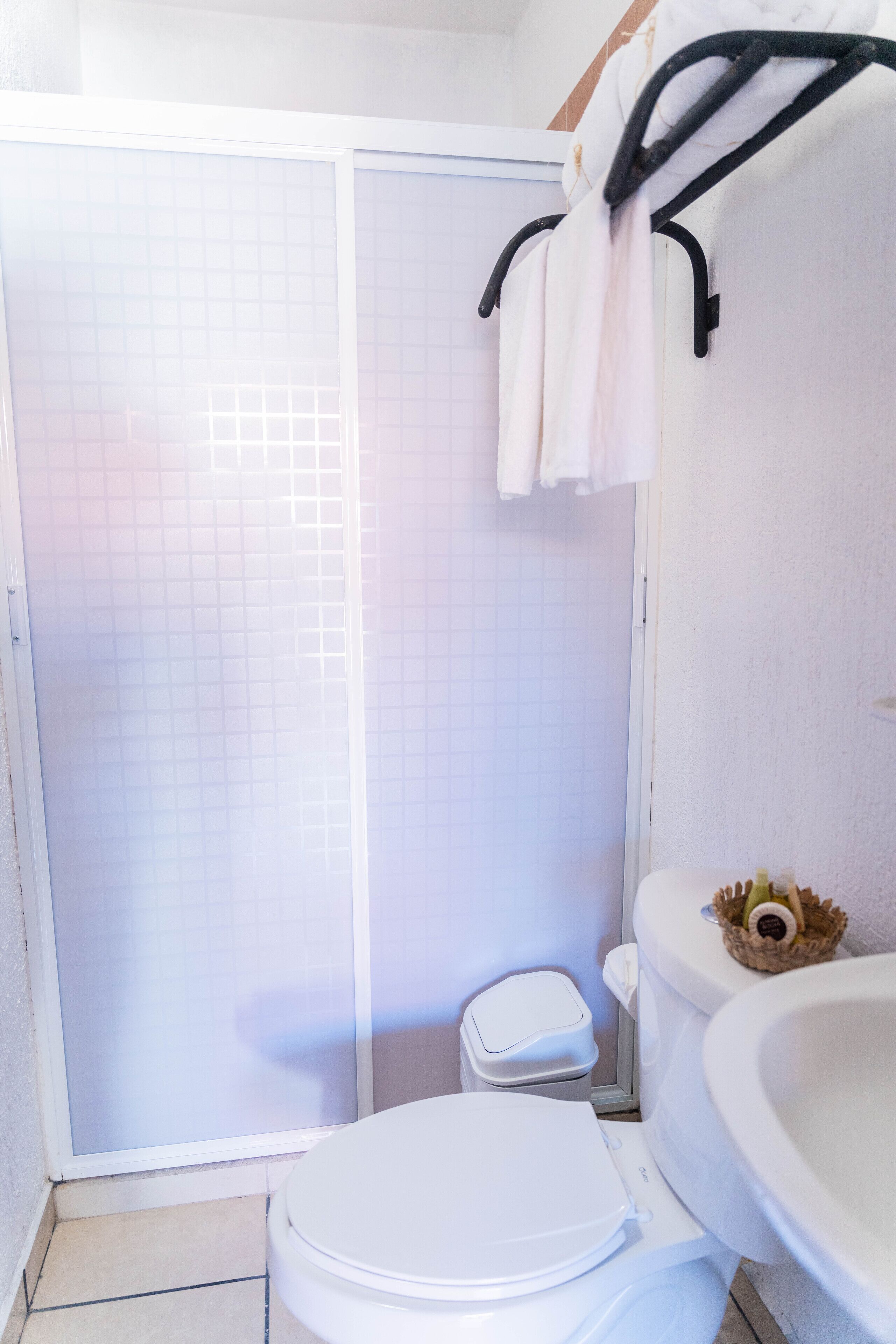 shower, free toiletries, hair dryer, towels