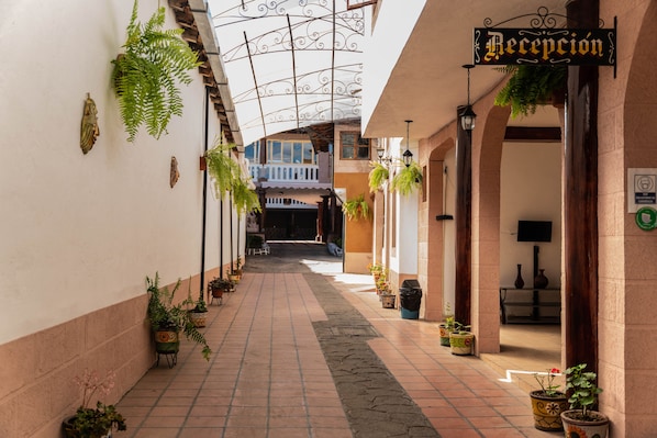 A corridor with potted plants, a reception sign, and a staircase leading to an upper level.