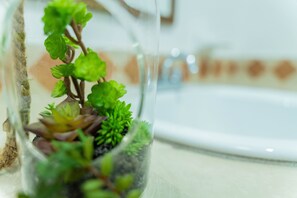 A clear glass terrarium with green plants and a brown branch, placed on a surface with a white plate in the background. - Casa Graciela Hotel Pátzcuaro (Patzcuaro)