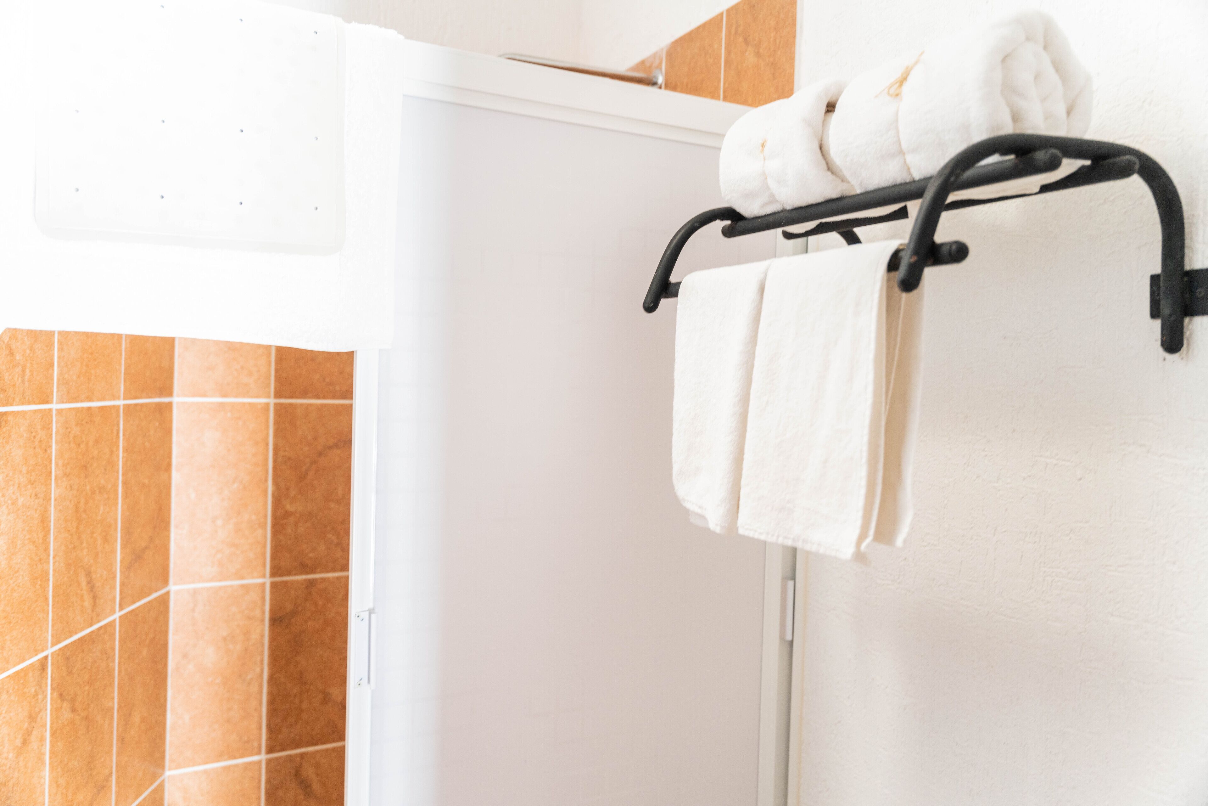 elite room | bathroom | shower, free toiletries, hair dryer, towels