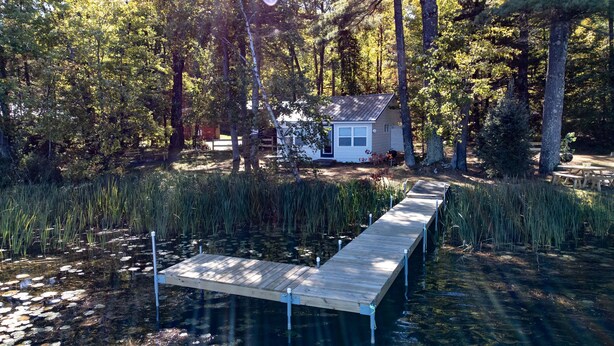 A wooden dock leading to a small cabin surrounded by tall trees and a pond with lily pads.