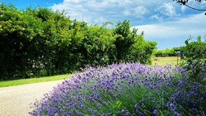 Property grounds - Lodge Tent Prestige, swimmingpool and near all attractions of Dordogne (Jayac)