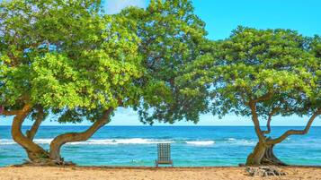 A beach with two large trees and a chair.
