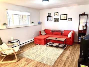 Living Room with sofa bed