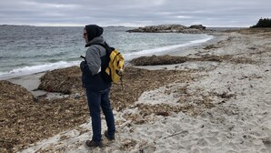 A person standing on a rocky beach with seaweed, looking out at the ocean. - Quiet, large private backyard, fully equipped, dreamy beds! 
Short or long term. (Halifax)