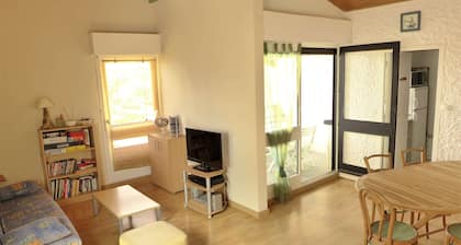 Seignosse Ocean, apartment in the center of Penon, beach 200m away, for 5 people