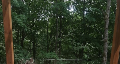 loft avec terrasse , pres de Bromont-déjeuner continental inclus