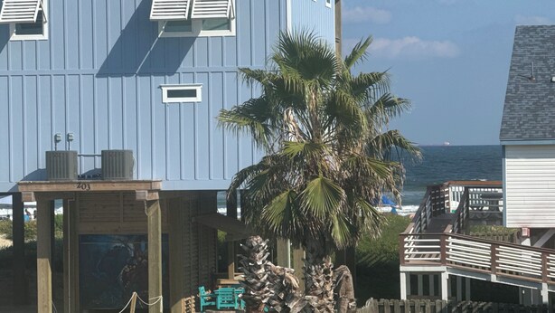 A coastal building with a blue exterior, a wooden deck, and a palm tree in the foreground. - *Blue- tiful Views*  (Surfside Beach)