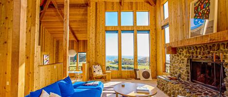 TV, fireplace, Netflix, books