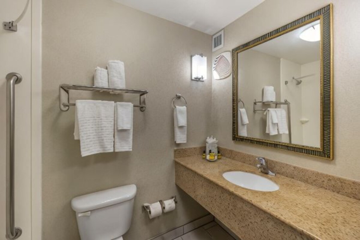 A bathroom with a toilet, sink, mirror, towel rack, and handrails.