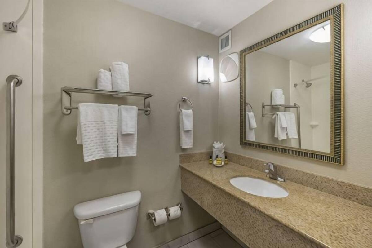 A bathroom with a toilet, sink, mirror, towel rack, and handrails.