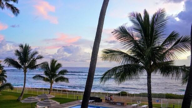 A poolside area with lounge chairs and umbrellas, palm trees, and a view of the ocean. - Upgraded Makaha remote work and surf oceanfront condo (Waianae)