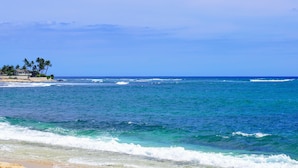 A beach with clear blue water, a sandy shore, and a few palm trees. - Upgraded Makaha remote work and surf oceanfront condo (Waianae)