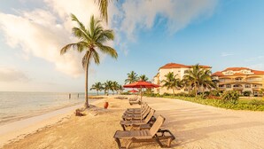 Ein Strand mit Liegestühlen und einer Palme.