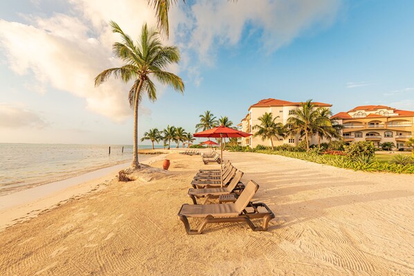 On the beach, sun-loungers, beach towels - 1Bedroom BEACHFRONT WALKOUT (San Pedro, Ambergris Caye)