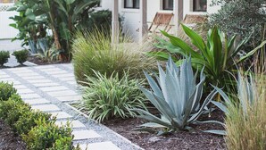Una casa amb un porxo cobert, un jardí ple de plantes variades i un camí de pedra.