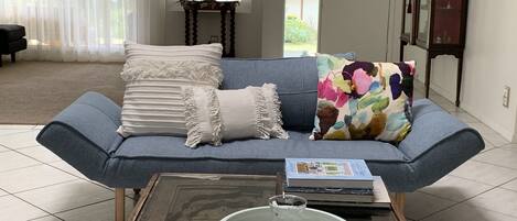 تلفزيون ذكي، مدفأة، مشغل دي في دي، كُتُب