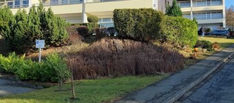 Apartment Magic Forest - Magic Forest